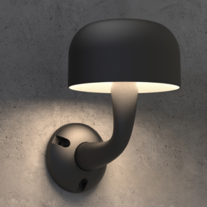 ZX Indoor/Outdoor Wall Light 12w